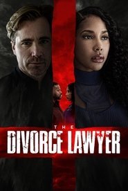 The Divorce Lawyer